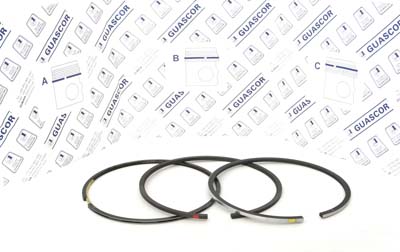 1915100 Guascor Piston Ring Set 1915100 Guascor Piston Ring Set
