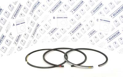 1915100 Guascor Piston Ring Set