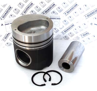 1915120 Guascor FGLD Piston Kit