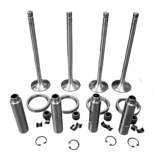 Guascor valve kit